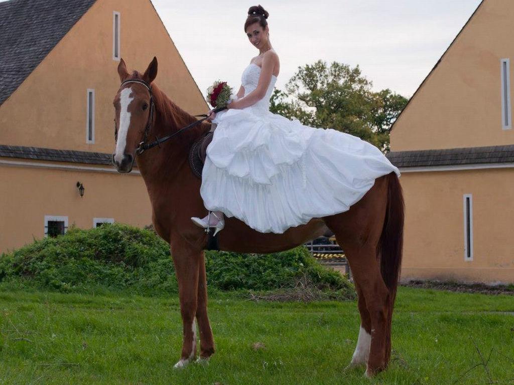 Dvur Olsiny -Hotel And Horse-Riding Karvina Bagian luar foto