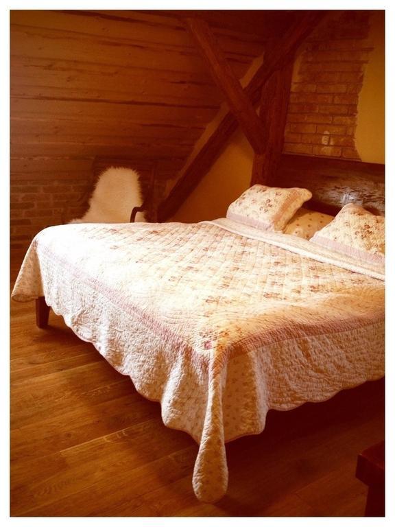 Dvur Olsiny -Hotel And Horse-Riding Karvina Ruang foto